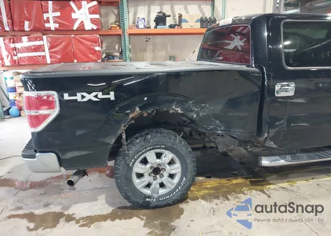 2009 Ford F-150 Xlt from USA, damaged, VIN 1FTPW14V49FB35484